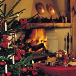 Konstsmide Christmas Julepynt|Julelyskæder > Aftageligt stik - lyskæde Neas 35 lyskilder