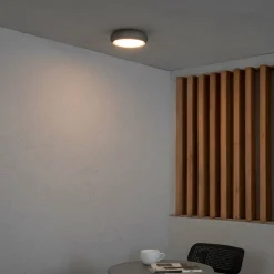 FARO BARCELONA Udendørs Loftlamper > Anga udendørs loftlampe, mørkegrå, beton, Ø 24 cm