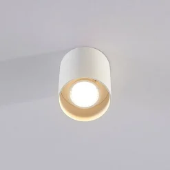 Arcchio Arbejdsrum/Kontor|Gang > downlight Carson, højde 10 cm, hvid, aluminium