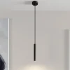 Arcchio Pendellamper > LED-pendellampe Franka, 1 lyskilde, Ø 4 cm, sort