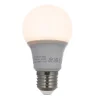 Arcchio Led Pærer > LED-pære E27 A60 4,9W opal 3.000K 480 lm