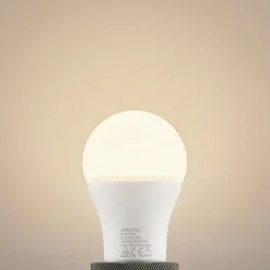 Led Pærer ^ Arcchio LED-pære E27 A60 13,5W opal 3.000K 1521lm