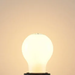 Arcchio Dæmpbar Led-Pære|Led Pærer > LED-pære E27 8W 2.700K dæmpbar, opal