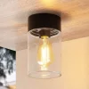 Arcchio Udendørs Loftlamper > Liljana udendørs loftslampe, IP65, sort