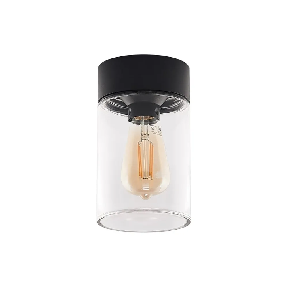 Arcchio Udendørs Loftlamper > Liljana udendørs loftslampe, IP65, sort