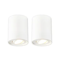 Arcchio Spotlights > loftspot Jolina, rund, hvid, sæt med 2, aluminium