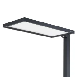 Arbejdsrum/Kontor ^ Arcchio Nelus LED-gulvlampe til kontor, sort sensor