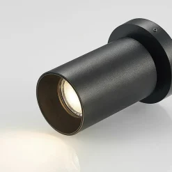 Arcchio Gang|Loftlamper > spotlight Brinja, sort, rund, 12 cm høj, Ø 6 cm