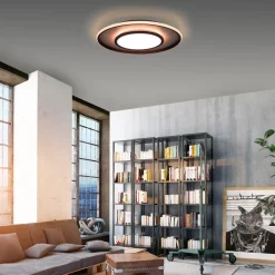 JUST LIGHT. GmbH Loftlamper|Loftlamper > Arenda LED-loftlampe, Ø 60 cm, RGB/CCT, kan dæmpes