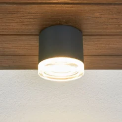 Udendørs Loftlamper ^ BEGA 66056K3 udendørs loftlampe, grafit 3.000K 62°