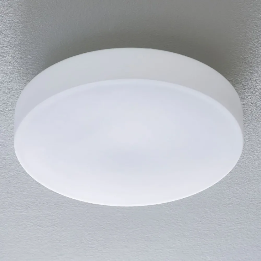 BEGA Loftlamper > 50652 LED-loftlampe opalglas 3.000K Ø39cm
