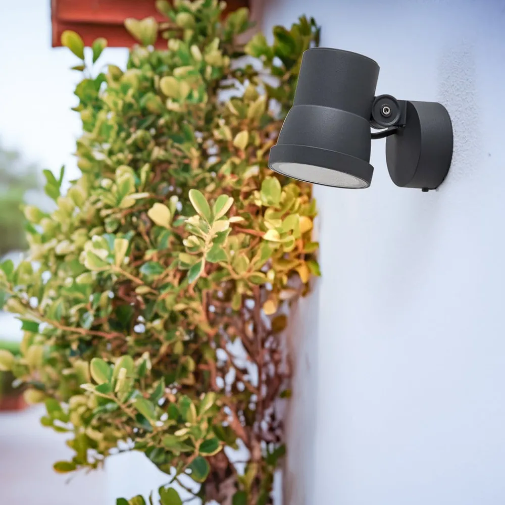 Udendørs Spot ^ BEGA LED-spotlight 84952K3, DALI, grafit, støbt aluminium