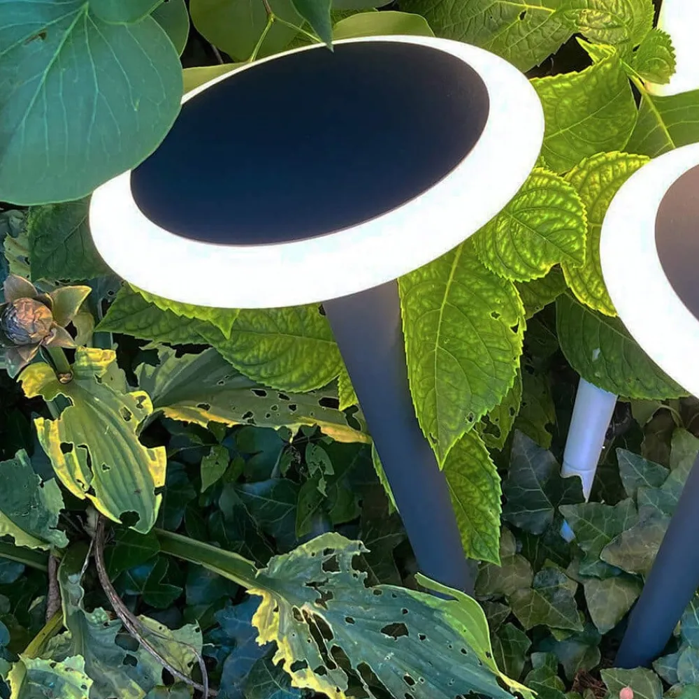 Deko-Light Sokkellamper|Udendørs Spot > Bermuda LED-sokkellampe med jordspyd, sortgrå
