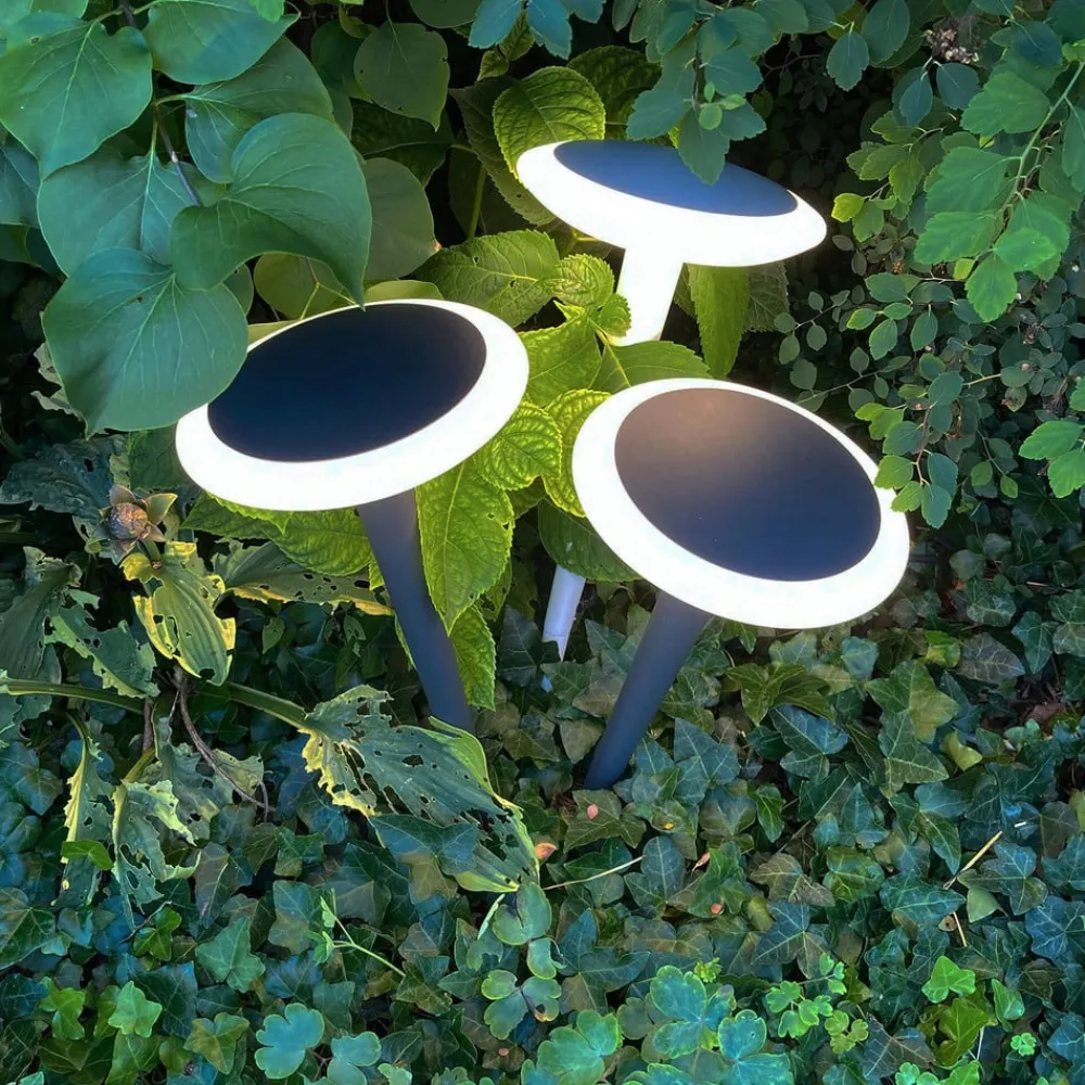 Deko-Light Sokkellamper|Udendørs Spot > Bermuda LED-sokkellampe med jordspyd, sortgrå
