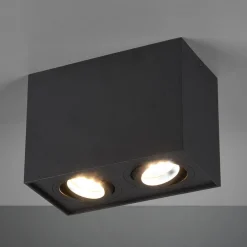 Spotlights ^ Trio Lighting Biscuit loftlampe, 2 lyskilder, sort