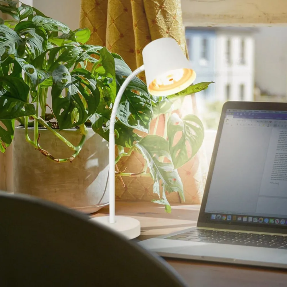 Arbejdsrum/Kontor|Bordlamper ^ Briloner Biwo LED-bordlampe, hvid, berøringsdæmper, metal