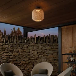 Bover Udendørs Loftlamper > Nans PF/31 LED udendørs loftslampe, brun