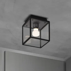 Buster + Punch Loftlamper > Caged Wet Small IP44 rødgods