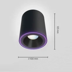 Calex Spotlights > Smart Halo Spot LED loftspot, sort