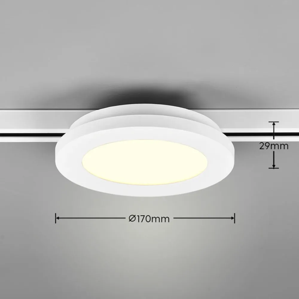 Trio Lighting Skinnesystem > Camillus LED-skinnelampe til DUOline, hvid, Ø 17 cm