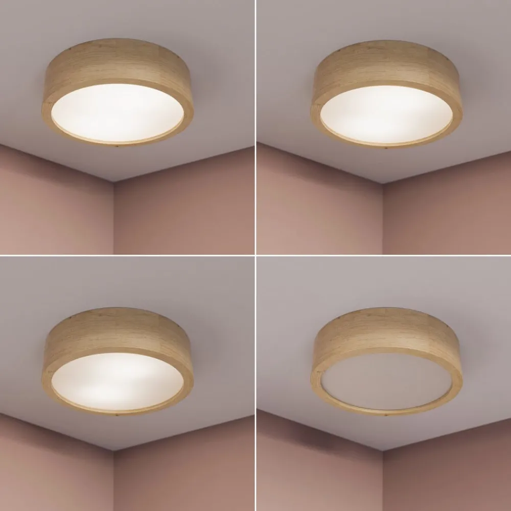 TEMAR LIGHTING Loftlamper|Loftlamper > Cleo loftlampe, Ø 28 cm, 2 lyskilder, egetræ, E27
