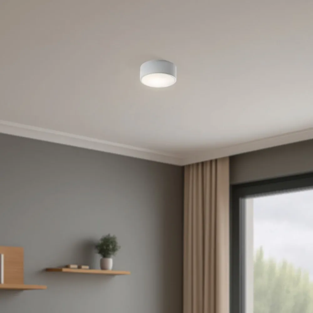 TEMAR LIGHTING Loftlamper > Cleo 200 loftlampe, grå, sensor, IP20, Ø 20 cm, E27