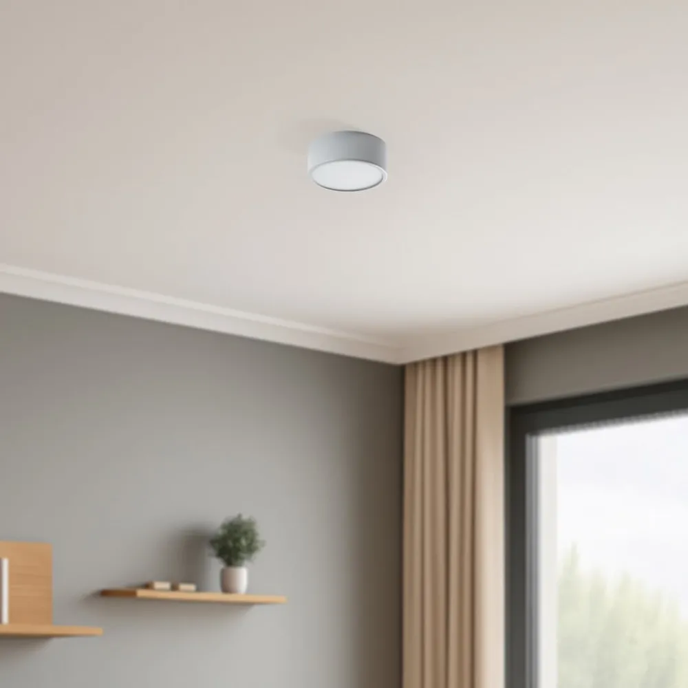 TEMAR LIGHTING Loftlamper > Cleo 200 loftlampe, grå, sensor, IP20, Ø 20 cm, E27