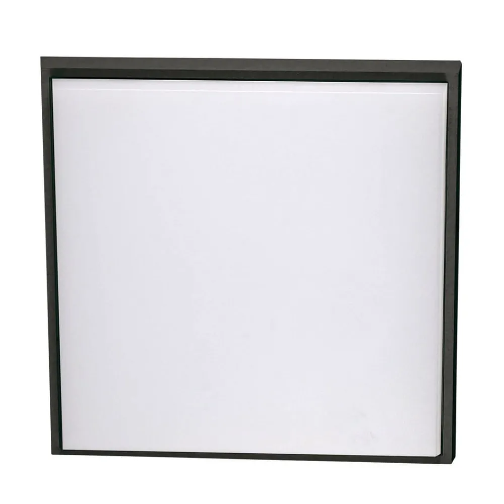 Fabas Luce Loftlamper > Desdy LED-loftlampe, 30 x 30 cm, IP54, sort
