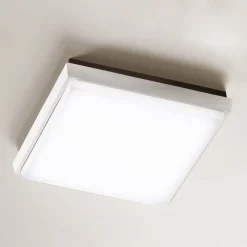 Udendørs Loftlamper ^ Fabas Luce Desdy LED udendørs loftlampe, 24 x 24 cm, hvid
