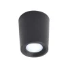 Udendørs Loftlamper ^ Fumagalli Downlight Livia Ø 6 cm sort/frostet kunstharpiks G9 4,000K