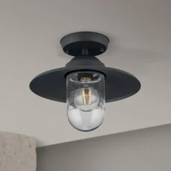 Udendørs Loftlamper ^ ORION Edward udendørs loftlampe, antracit, Ø 27,5 cm, aluminium