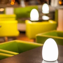 Smart&Green Dekorationsbelysning|Terrassebelysning > Egg - en app-styret dekorationslampe med genopladeligt batteri