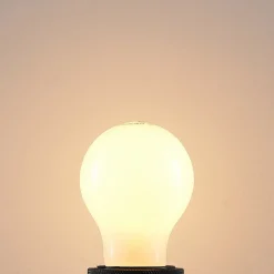 Arcchio Dæmpbar Led-Pære|Led Pærer > E27 LED-pære 6 W 2.700 K, kan dæmpes, opal