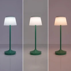 Näve Solcellelamper > Emmi LED-bordlampe, solcelle, CCT, opladelig, grøn
