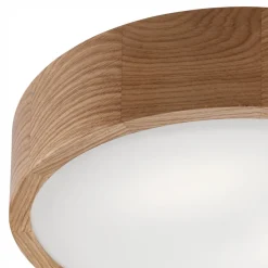 Envostar Loftlamper > Caspian loftlampe, Ø 37 cm, IP54, eg