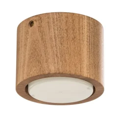 Envostar Loftlamper > Ernest Downlight GX53 i træ, rund