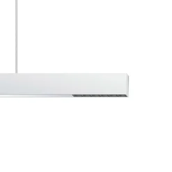 ERCO Skinnesystem > Compar P DALI up/down oval wide hvid/sort 940