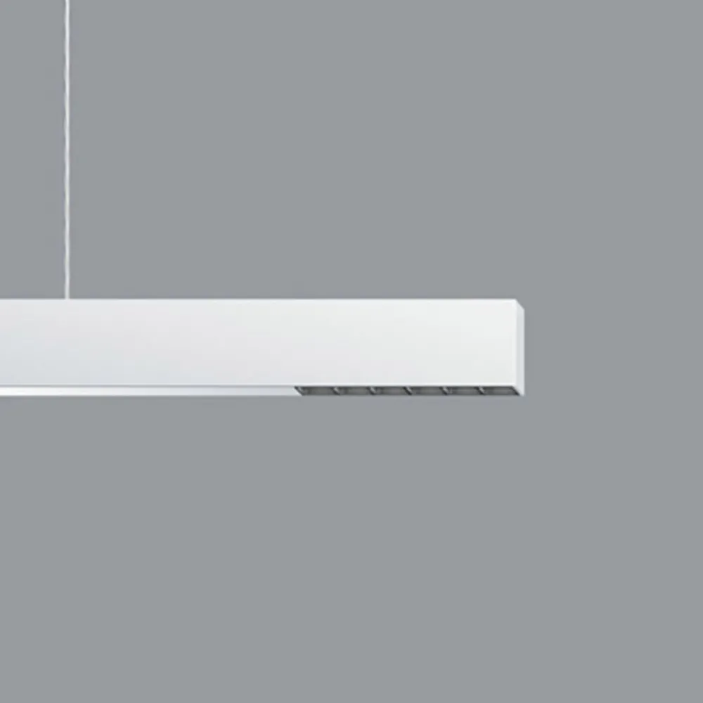 ERCO Skinnesystem > Compar P DALI up/down oval wide hvid/sort 940