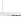 ERCO Skinnesystem > Compar P DALI up/down oval wide hvid/sølv 930