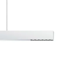 ERCO Skinnesystem > Compar P DALI up/down oval wide hvid/sølv 930