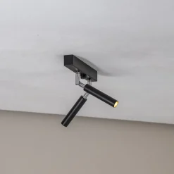 Euluna Arbejdsrum/Kontor > Nicanor loftspot sort/krom 2 lyskilder