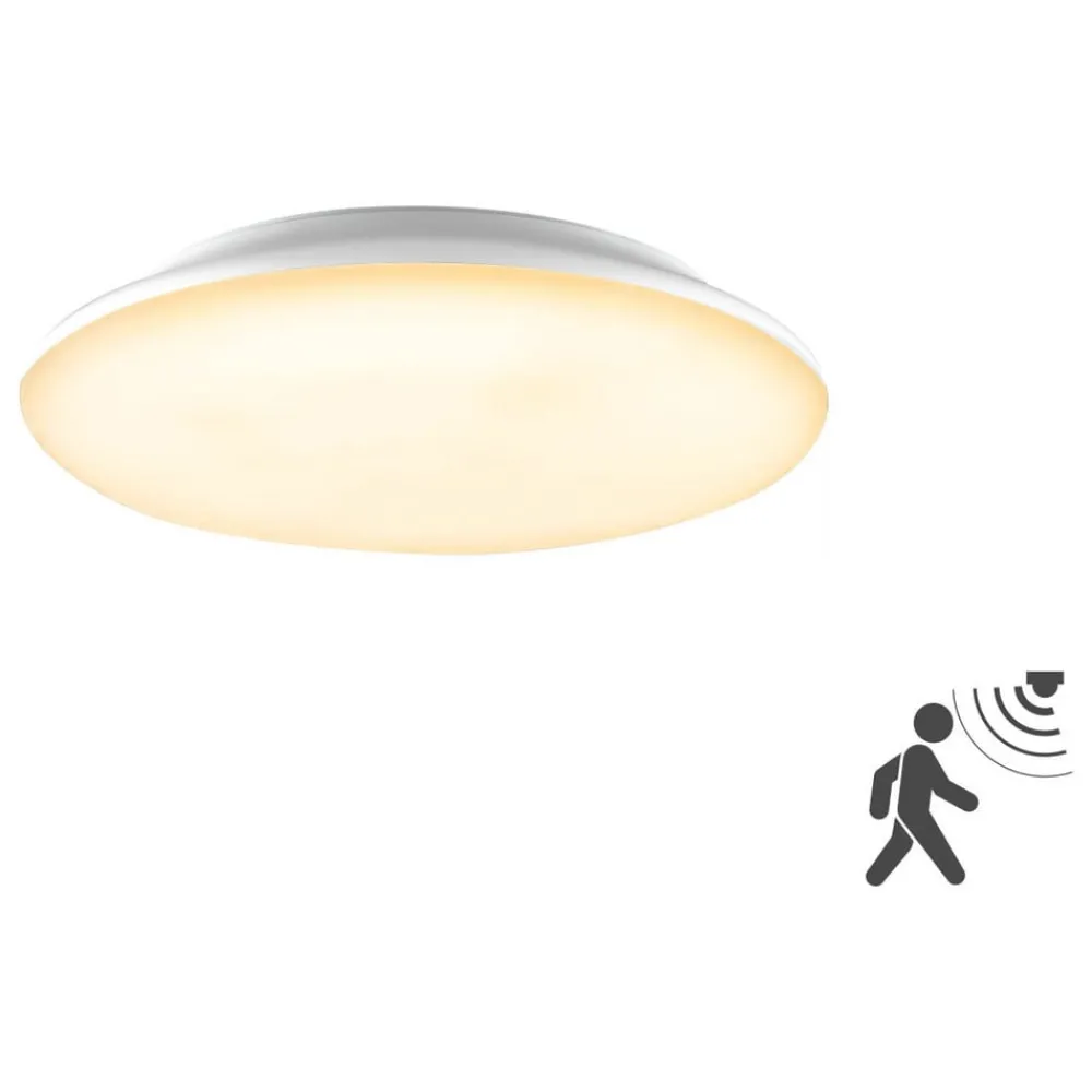 EVN Loftlamper > Catino LED-loftslampe, sensor, 30 cm