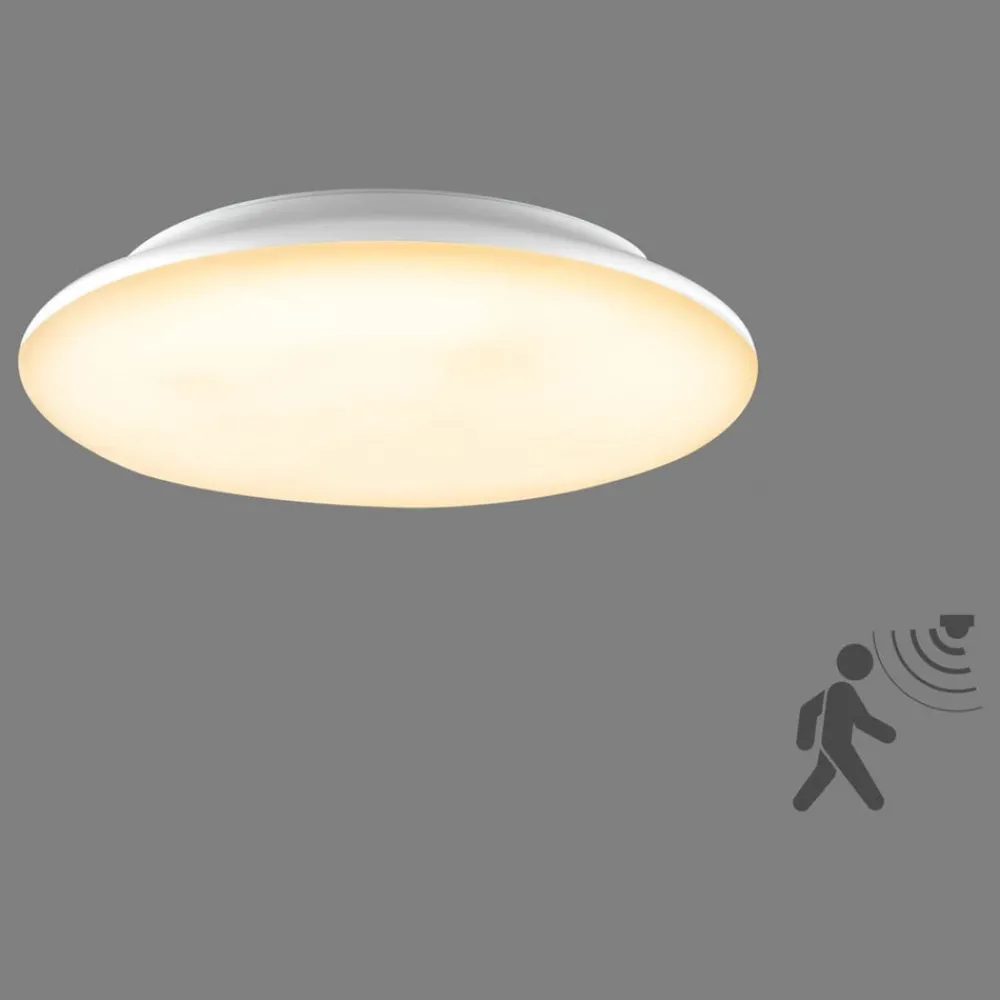 EVN Loftlamper > Catino LED-loftslampe, sensor, 30 cm