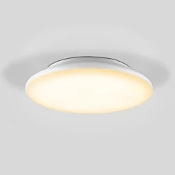EVN Loftlamper > Catino LED-loftslampe, sensor, 25 cm