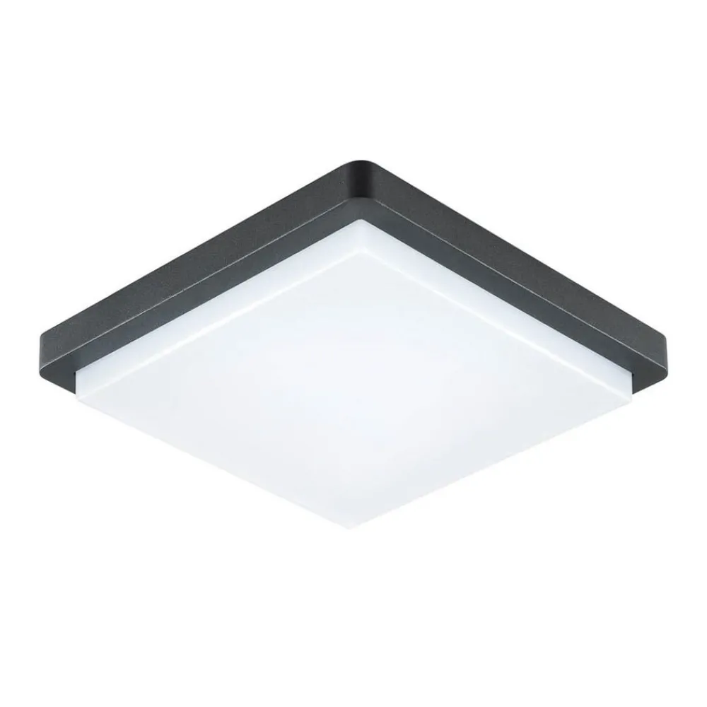 Udendørs Loftlamper ^ EVN LED udendørs loftlampe Tectum, 23x23 cm, antracit, 150°