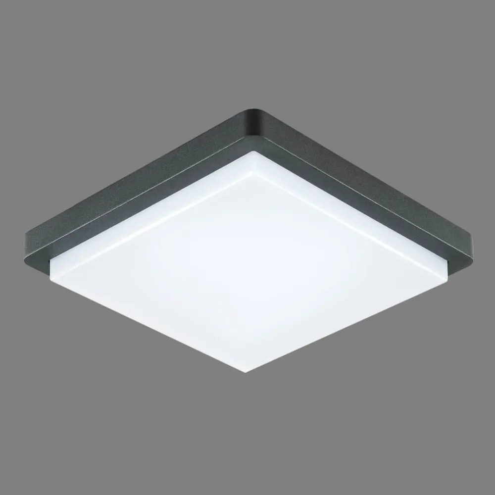 Udendørs Loftlamper ^ EVN LED udendørs loftlampe Tectum, 23x23 cm, antracit, 150°