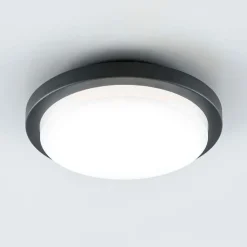 Udendørs Loftlamper ^ EVN Tectum LED udendørs loftlampe, rund, Ø 24,6 cm