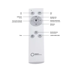 JUST LIGHT. GmbH Loftlamper > Flat LED-loftlampe, CCT, sort, 45 x 45 cm