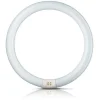 Philips Lysstofrør > G10q 32W 840 ring-lysstofrør Master Circular TL-E