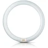 Lysstofrør ^ Philips G10q 40W 840 ring-lysstofrør Master Circular TL-E